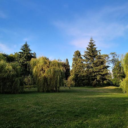 Entire Forest Home Near Nature & Amenities Surrey Eksteriør bilde