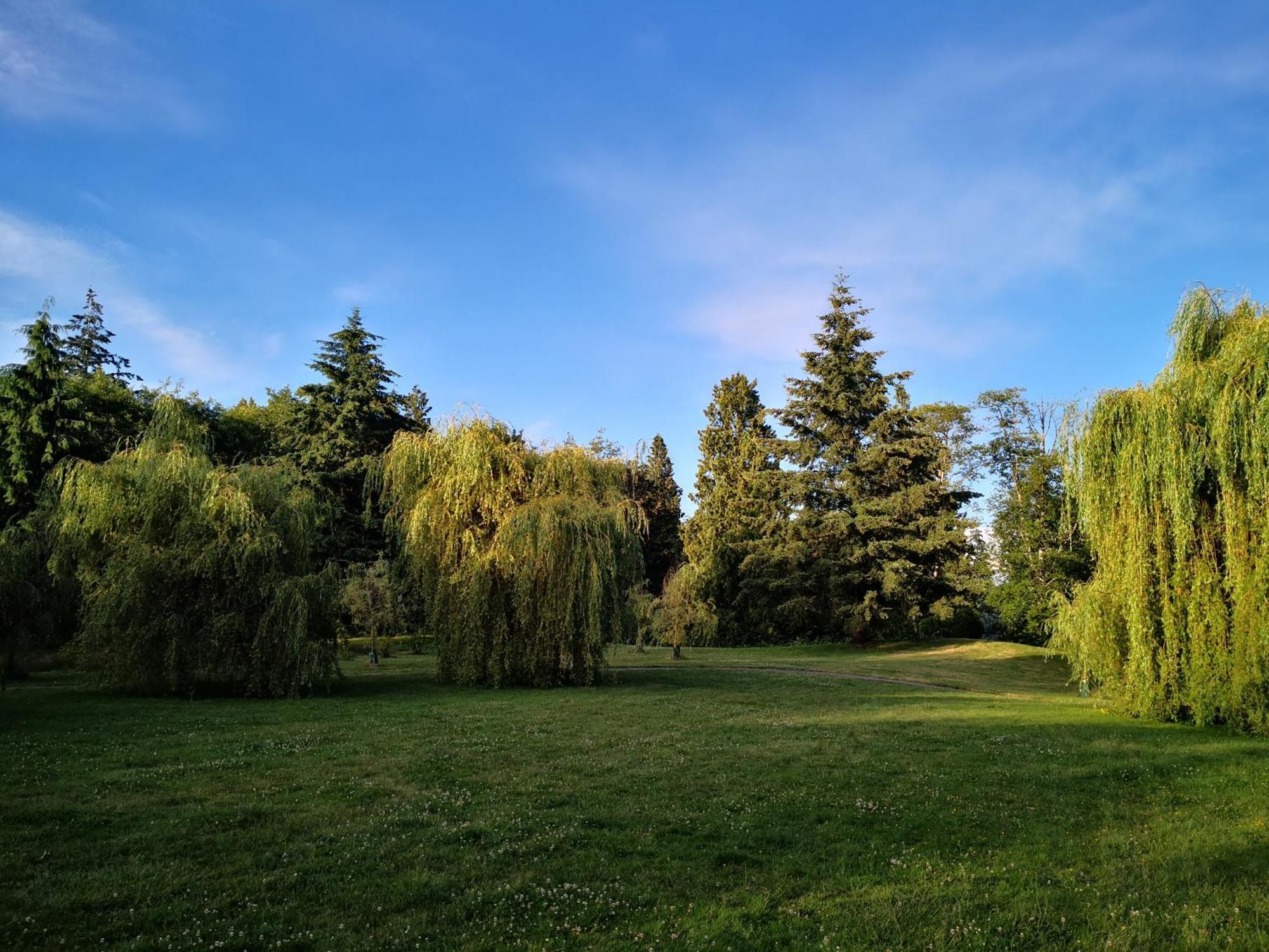 Entire Forest Home Near Nature & Amenities Surrey Eksteriør bilde